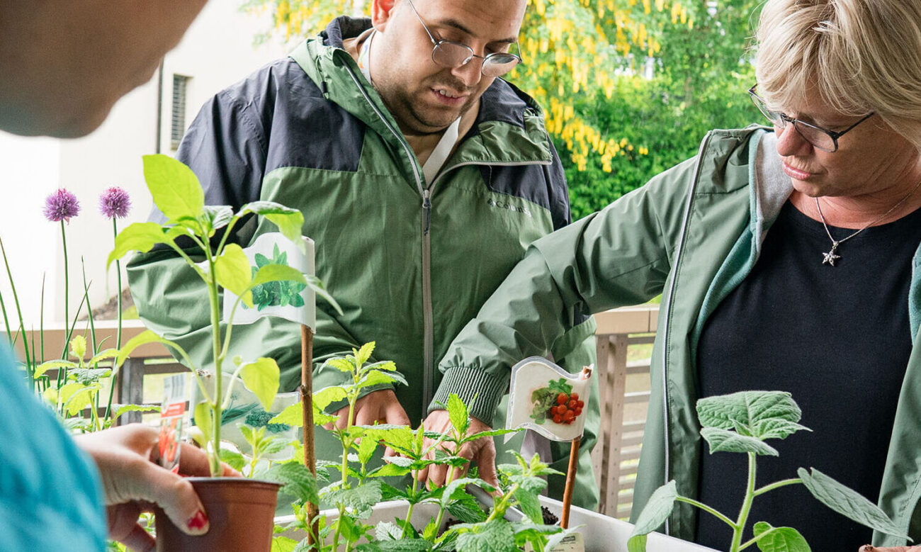Die Mitarbeitenden der Ateliergruppe bepflanzen das Hochbeet auf der Terrasse